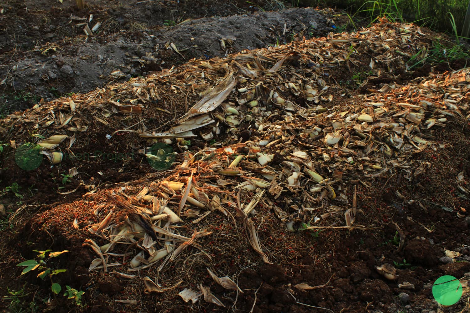 Cover Image for Beberapa Alternatif Limbah yang Dapat Dijadikan Bahan Pembuatan Pupuk Organik