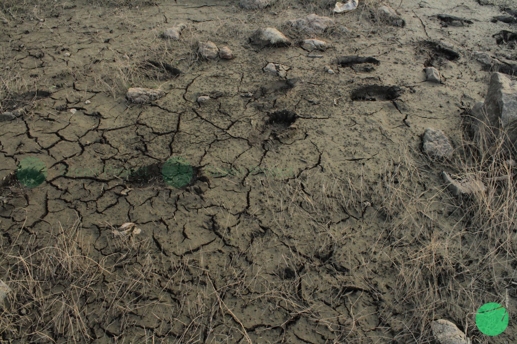 Cover Image for Penyebab Terjadinya Kekeringan