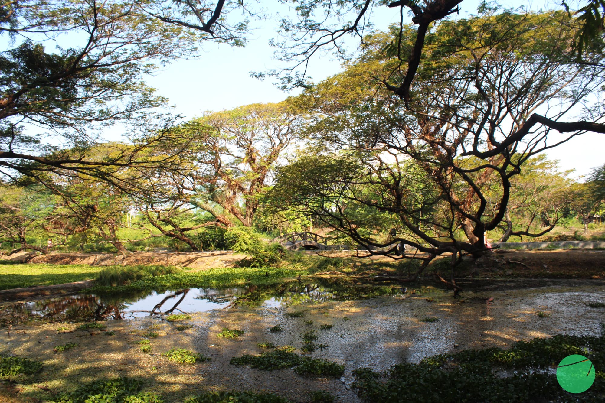 Cover Image for Permata Tersembunyi di Keraton Kasepuhan Cirebon