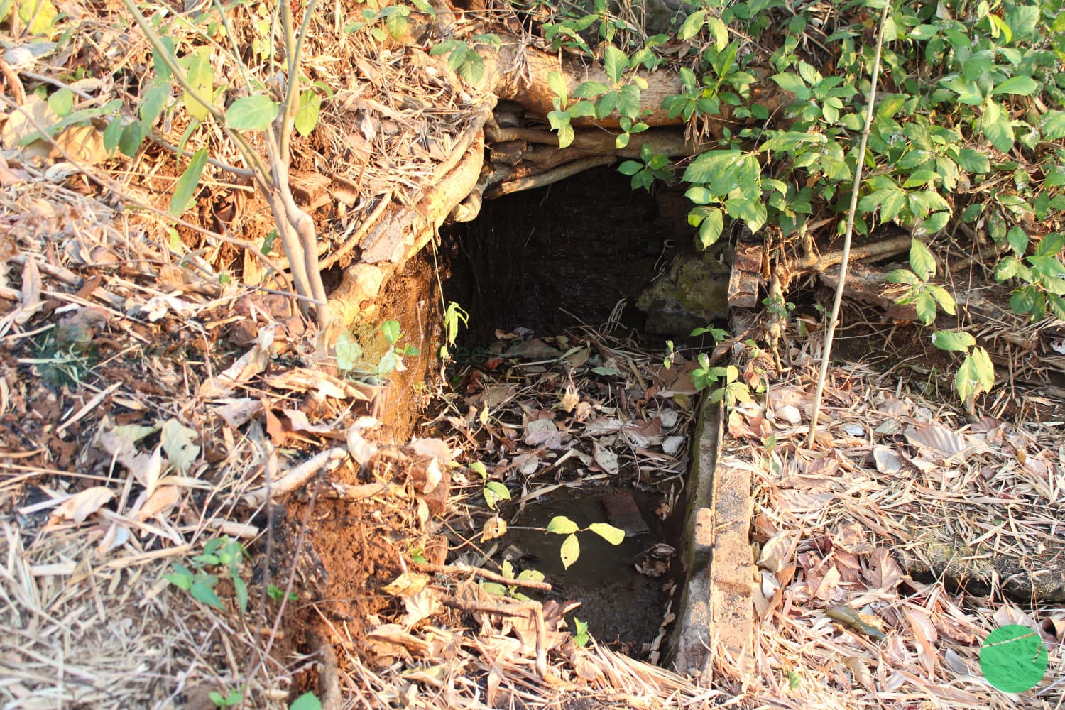 Cover Image for Sumur - Sumur Alami di Dusun Karang Dawa, Desa Setu Patok, Kecamatan Mundu Kabupaten Cirebon