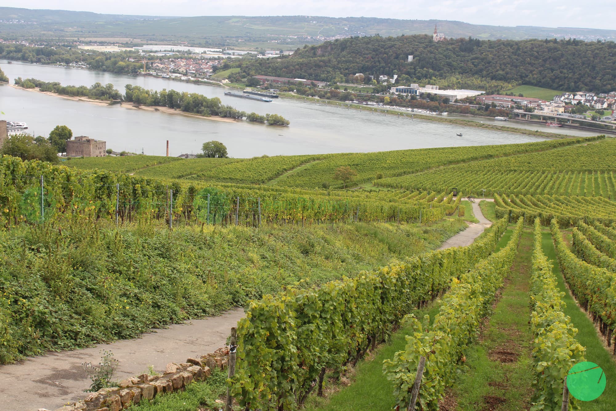 Cover Image for Rüdesheim am Rhein: Lanskap Budaya dan Ekologi di Tepi Sungai Rhine